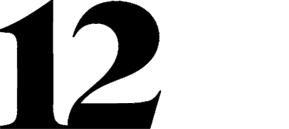 12 Logo Animation